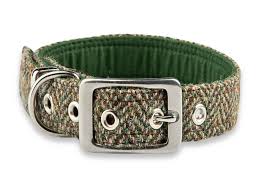 Classic Everyday Collar