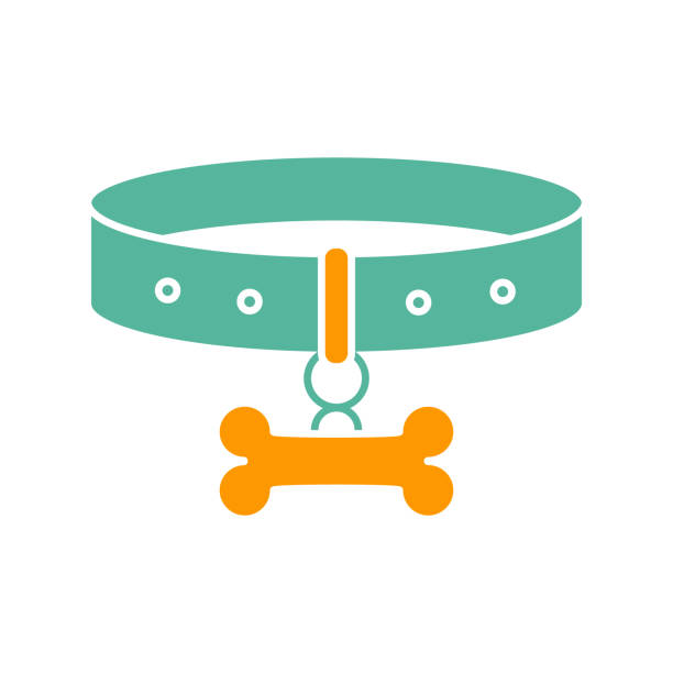Happy dog with stylish collar