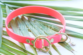 Adventure-Ready Collar