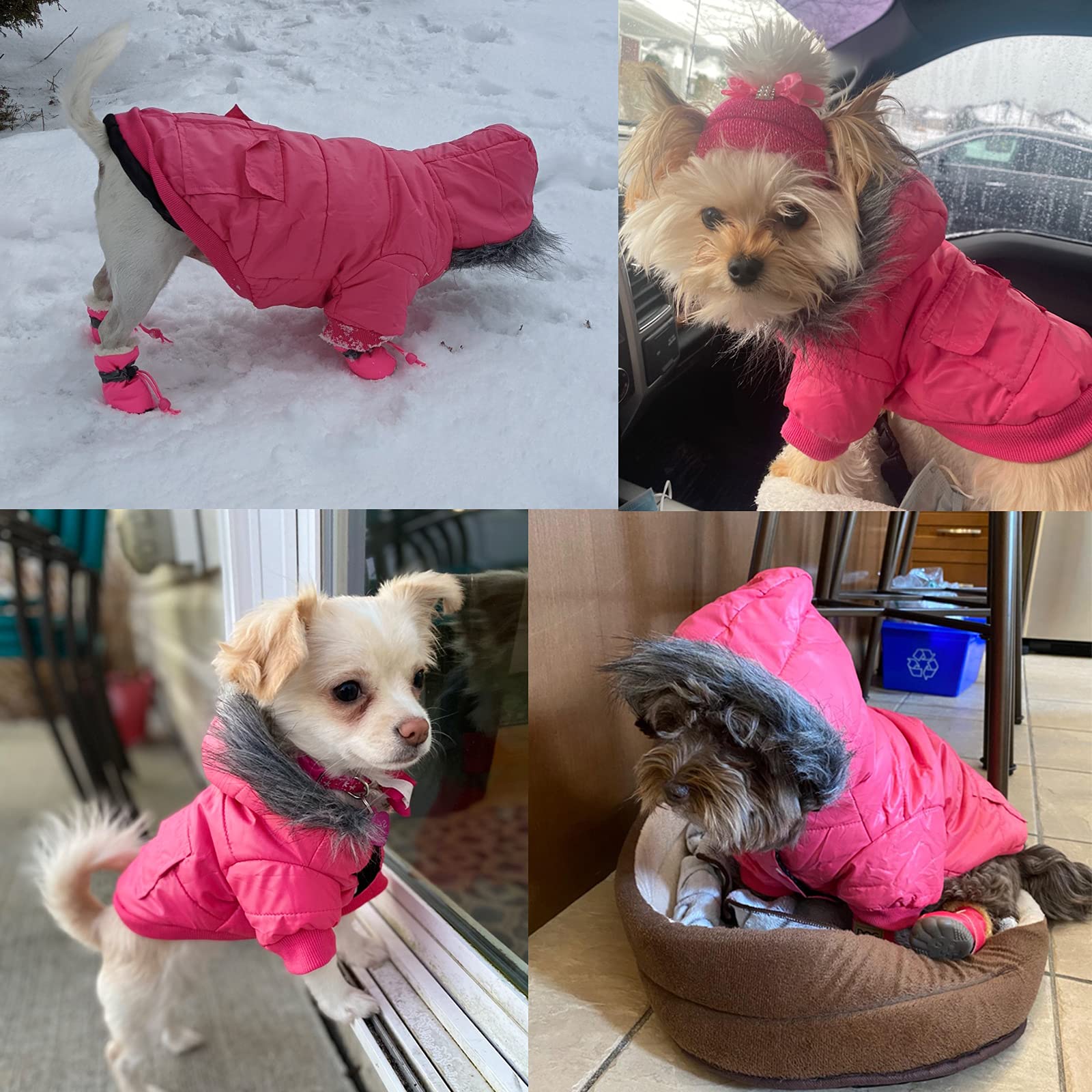 Winter pet outfits